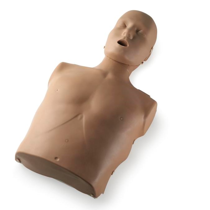 Read more about the article What’s in a Manikin?